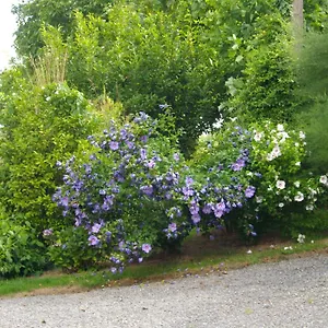 D'hôtes La Loubatais France